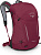Рюкзак Osprey Hikelite 26 Chameleon/Black - Фото 1 малая