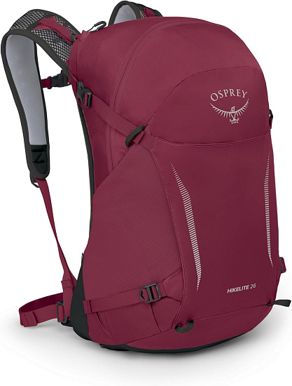 Рюкзак Osprey Hikelite 26 Chameleon/Black - Фото 1 большая