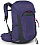 Рюкзак женский Osprey Tempest 26 Deep Fig/Hotspot Pink - Фото 1 малая