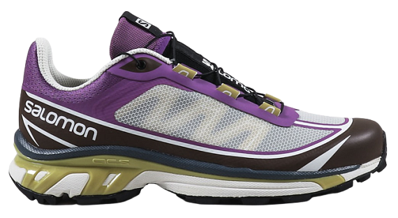 Кроссовки Salomon XT-6 ADV FT Royal Lilac/Chocolate - Фото 1 большая