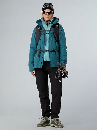 Брюки женские The North Face Diablo Straight Tnf Black - Фото 7 большая