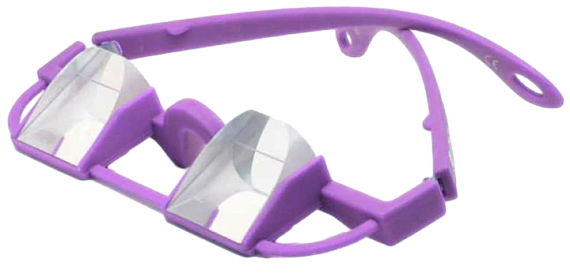 Очки для страховки Le Pirate Belay Glasses Model 3.1 Purple - Фото 1 большая