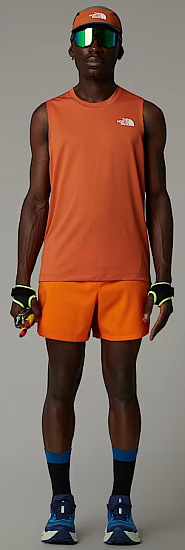 Шорты мужские The North Face Breeze 5in Digital Orange - Фото 8 большая