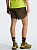 Шорты мужские The North Face Sunriser 5" Short New Taupe Green - Фото 4 малая