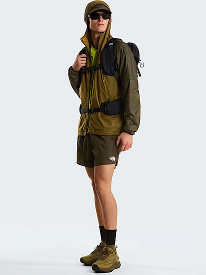 Шорты мужские The North Face Sunriser 5" Short New Taupe Green - Фото 6 большая