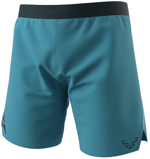 Шорты мужские Dynafit Alpine Storm Blue/Blueberry - Фото 1 большая