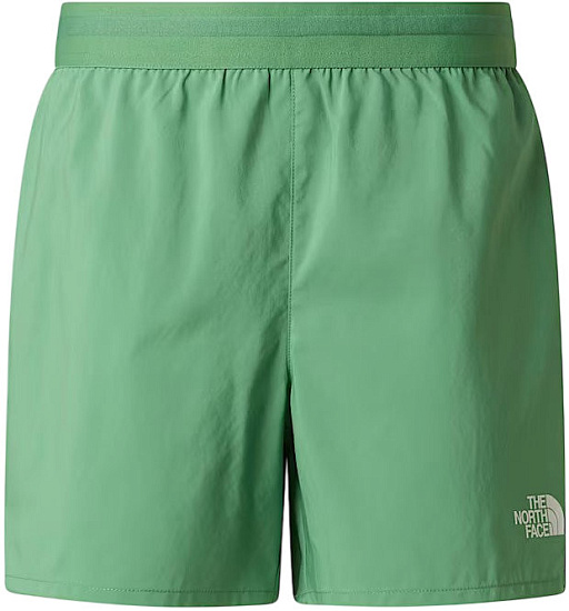 Шорты мужские The North Face Lightbright 5in Dimmed Algae - Фото 1 большая