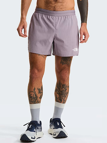 Шорты мужские The North Face Lightbright 5in Transcendent Grey - Фото 3 большая