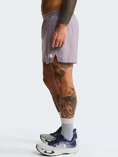 Шорты мужские The North Face Lightbright 5in Transcendent Grey - Фото 5 большая