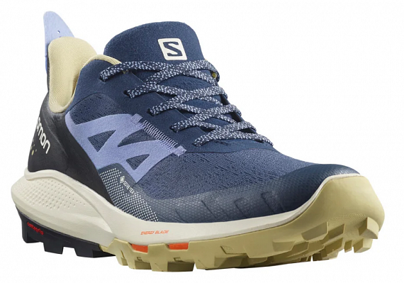 Кроссовки женские Salomon Outpulse Gtx Mood I/Leek Gre - Фото 1 большая