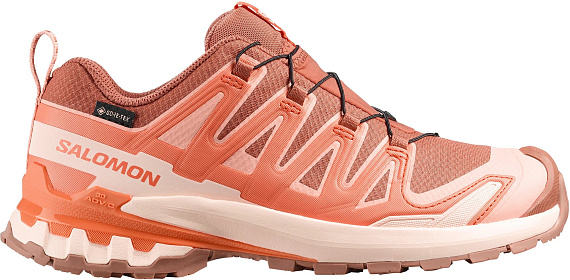 Кроссовки женские Salomon Xa Pro 3D V9 Gtx Pecan Brown/Nectarine/Almond Cream - Фото 1 большая