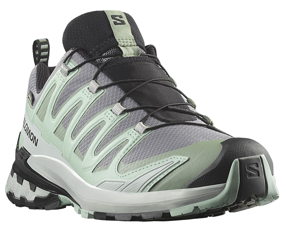 Кроссовки женские Salomon Xa Pro 3D V9 Gtx Quiet Shade/Lily Pad/Blue Haze - Фото 3 большая