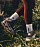Кроссовки женские Salomon X Ultra 5 Mid Gtx Excalibur/Iron/Gull - Фото 8 малая