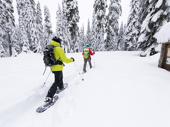 Снегоступы MSR Lightning Trail M25 Specrtum Blue - Фото 3 большая