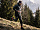 Брюки Compressport Hurricane Waterproof 10/10 - Фото 3 малая