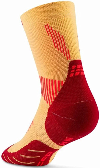 Носки мужские CEP C105M Core Run Mid Cut 5.0 Marigold/Burgundy - Фото 2 большая