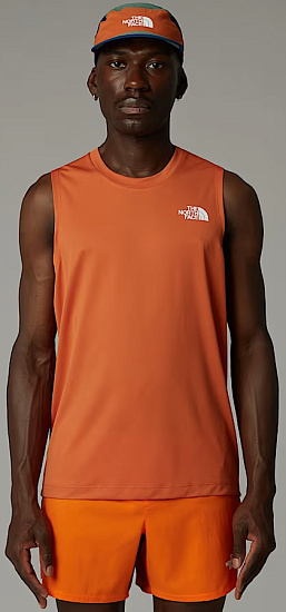 Майка мужская The North Face Lightbright Iron Bronze - Фото 3 большая