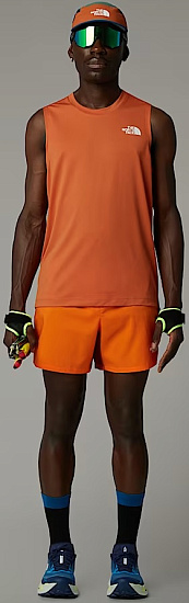 Майка мужская The North Face Lightbright Iron Bronze - Фото 5 большая