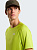 Футболка мужская The North Face Sunriser Fizz Lime - Фото 6 малая