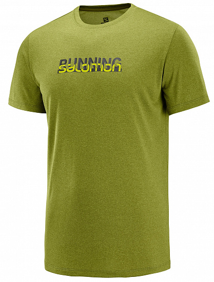 Футболка мужская Salomon Agile Graphic Tee Avocado - Фото 1 большая