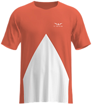 Футболка мужская UGLOW Speed Aero Tigerlily
