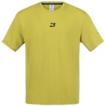 Футболка мужская Anta Racing Challenge Green