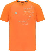 Футболка мужская Bivium Темп 3.0 Оранжевый