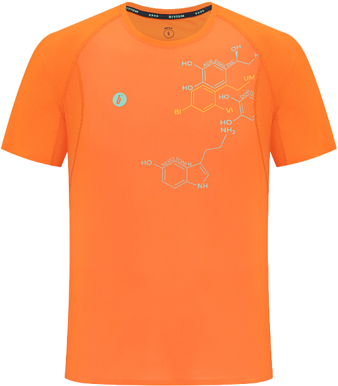 Футболка мужская Bivium Темп 3.0 Оранжевый - Фото 1 большая