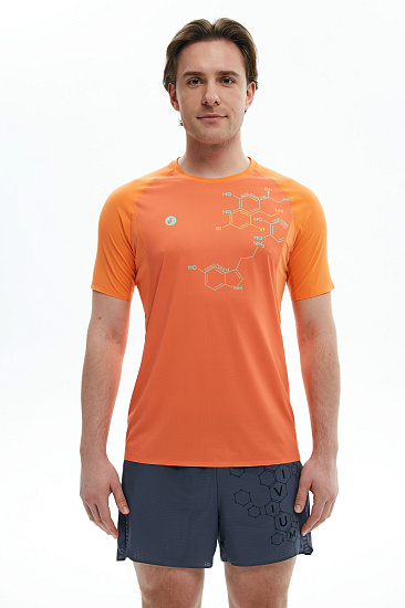 Футболка мужская Bivium Темп 3.0 Оранжевый - Фото 2 большая
