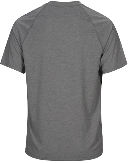 Футболка мужская Peak Performance Fly Grey Melange - Фото 6 большая