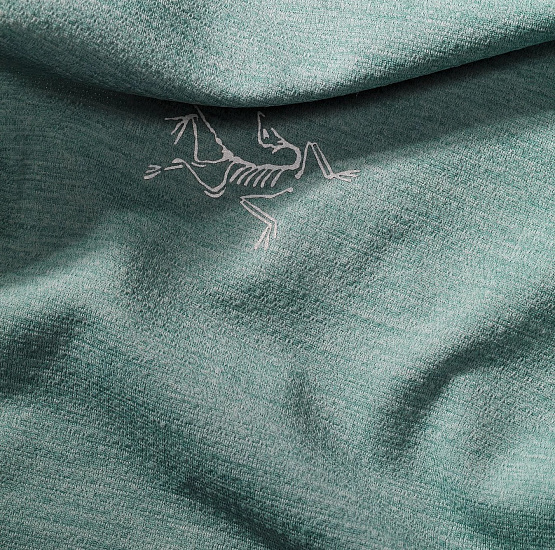 Футболка мужская Arcteryx Cormac Zip Neck LS Roboti - Фото 5 большая