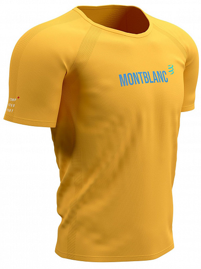 Футболка мужская Compressport Training - Mont Blanc 2021 Охра - Фото 1 большая