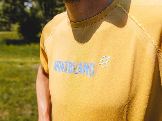 Футболка мужская Compressport Training - Mont Blanc 2021 Охра - Фото 4 большая