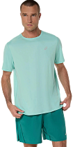 Футболка мужская ASICS Core Top Oasis Green