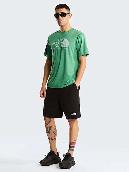 Футболка мужская The North Face 24/7 Logo Graphic Reg Dimmed Algae - Фото 9 большая