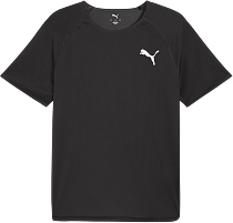 Футболка мужская Puma Lightspeed SS Puma Black