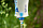 Фильтр Katadyn BeFree 3.0 Gravity Blue - Фото 7 малая