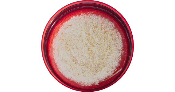 Картридж для фильтра MSR Guardian - Фото 2 большая