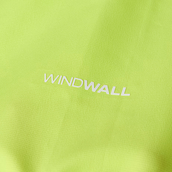 Куртка мужская The North Face Fontanales Wind Fizz Lime - Фото 17 большая
