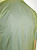 Куртка мужская Anta 852625606-1 Cyber Lime Green - Фото 7 малая