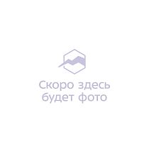 Куртка мужская Anta 852525609 Dark Green/Black