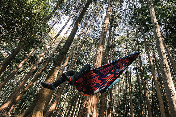 Гамак ENO DoubleNest Print Synthwave/Sapphire - Фото 11 большая