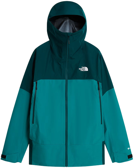 Куртка мужская The North Face Jazzi 3L Gtx Restorative Teal/Pacifi - Фото 1 большая