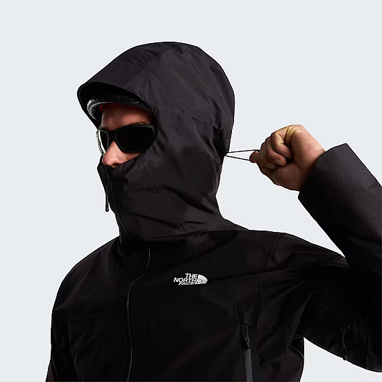 Куртка мужская The North Face Jazzi 3L Gtx Tnf Black - Фото 17 большая