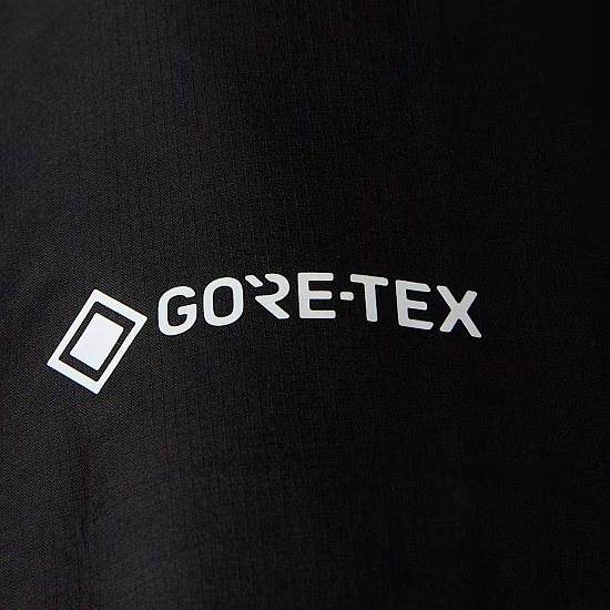 Куртка мужская The North Face Jazzi 3L Gtx Tnf Black - Фото 19 большая