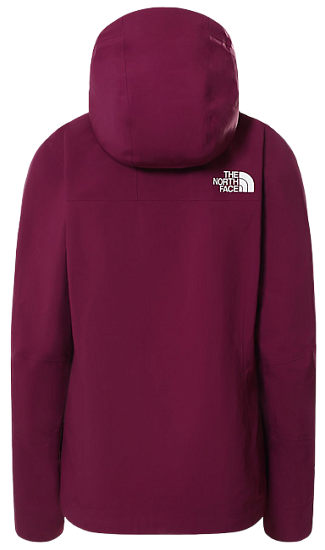 Куртка женская The North Face Summit Futurelight Pamplona Purple - Фото 17 большая