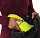 Куртка женская Arcteryx Zeta SL Electrolyt - Фото 7 малая