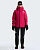 Куртка женская The North Face Summit Cayesh Gtx Pro Lali Guran - Фото 16 малая