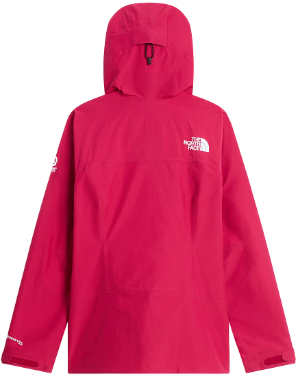 Куртка женская The North Face Summit Cayesh Gtx Pro Lali Guran - Фото 2 большая