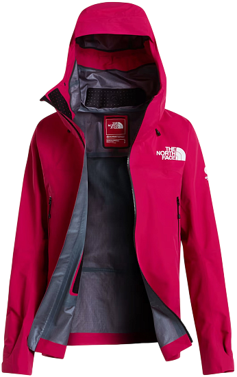 Куртка женская The North Face Summit Cayesh Gtx Pro Lali Guran - Фото 19 большая
